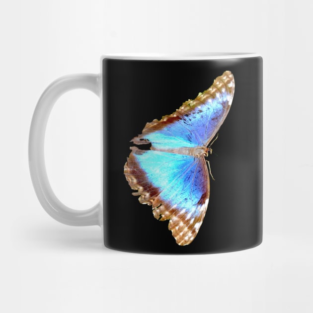 Morpho Butterfly on Black / Swiss Artwork Photography by RaphaelWolf